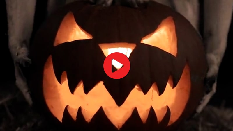 TRAILER - Click to Watch!